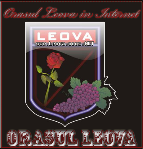 Orasul LEOVA in Internet .